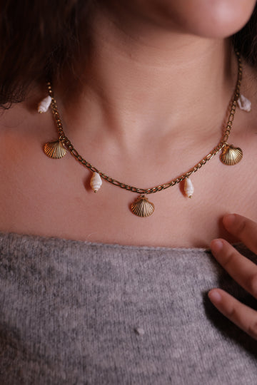 Shellora