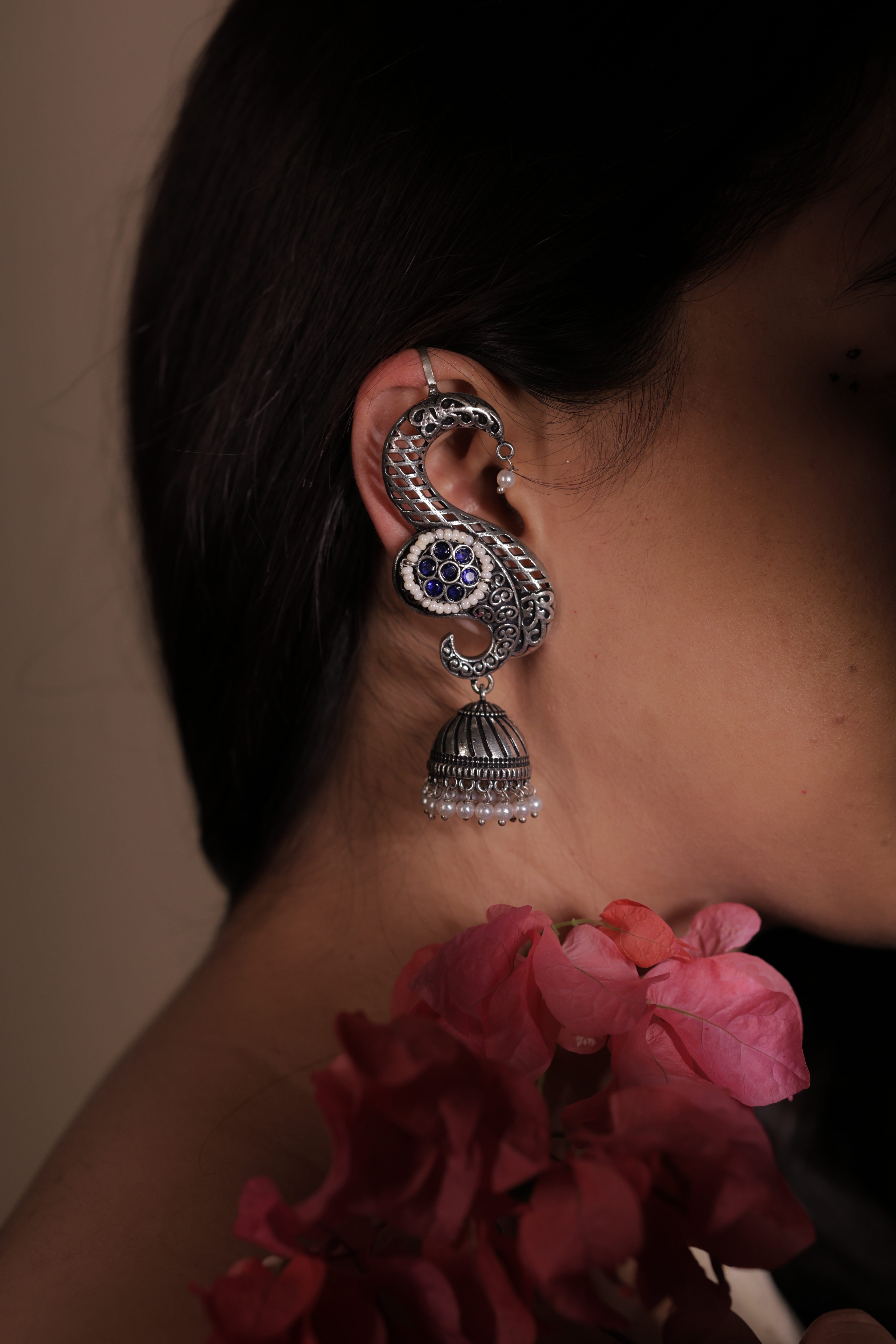 The Rajsi Silver Curves
