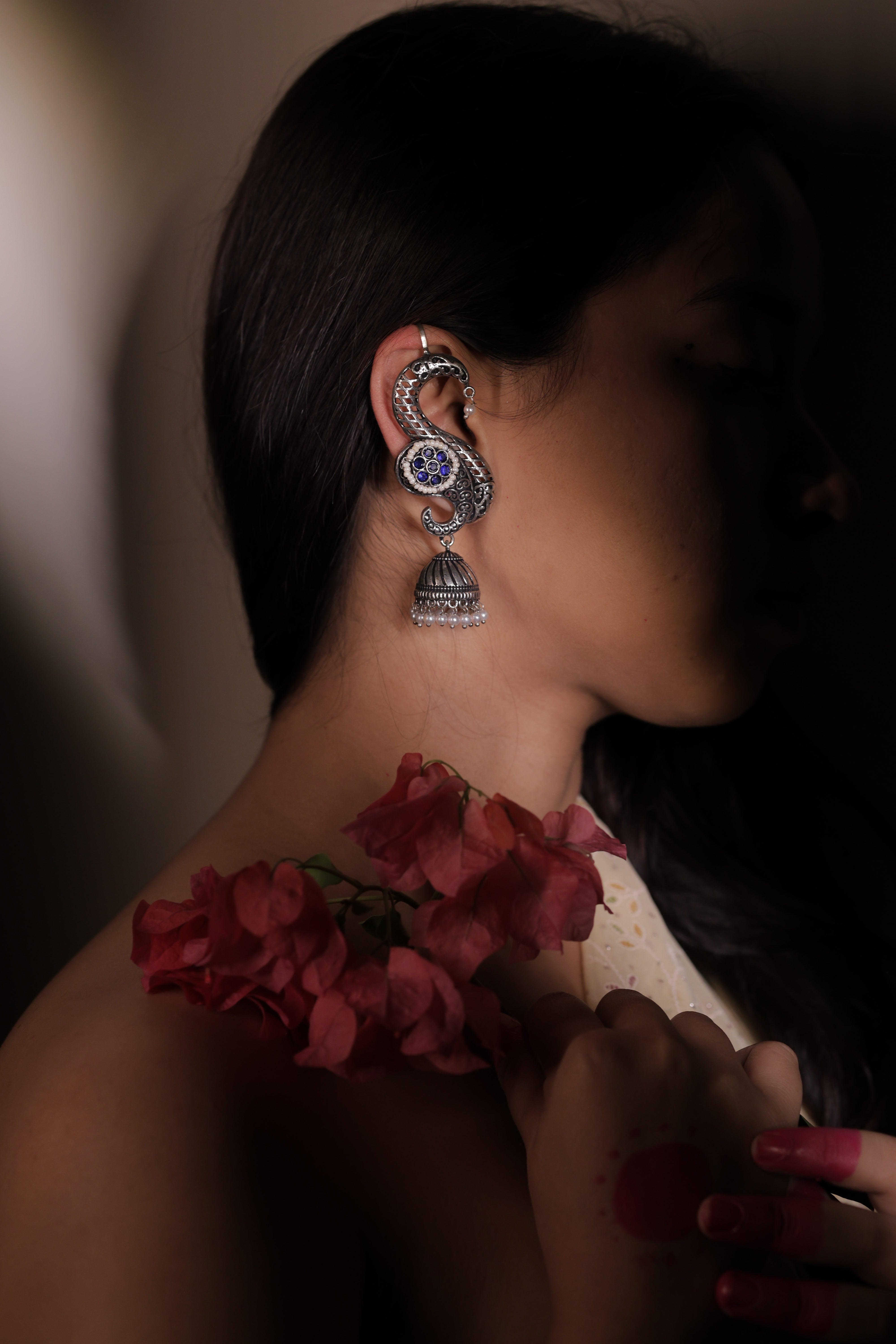 The Rajsi Silver Curves
