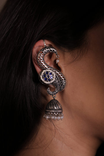 The Rajsi Silver Curves