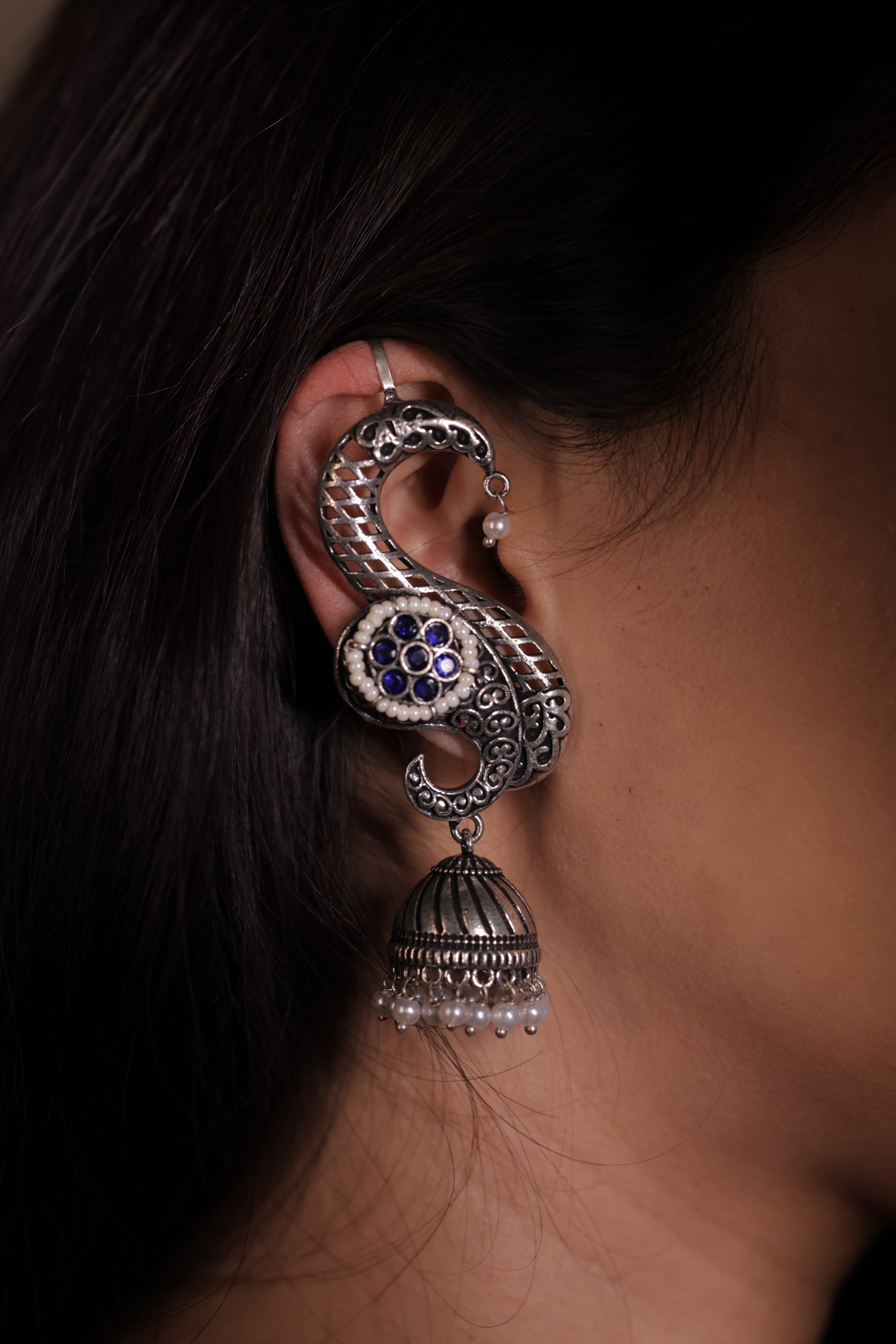 The Rajsi Silver Curves