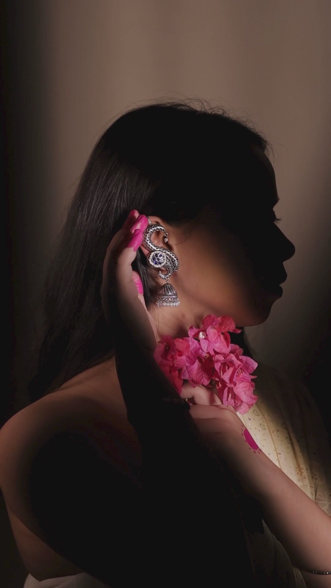 The Rajsi Silver Curves