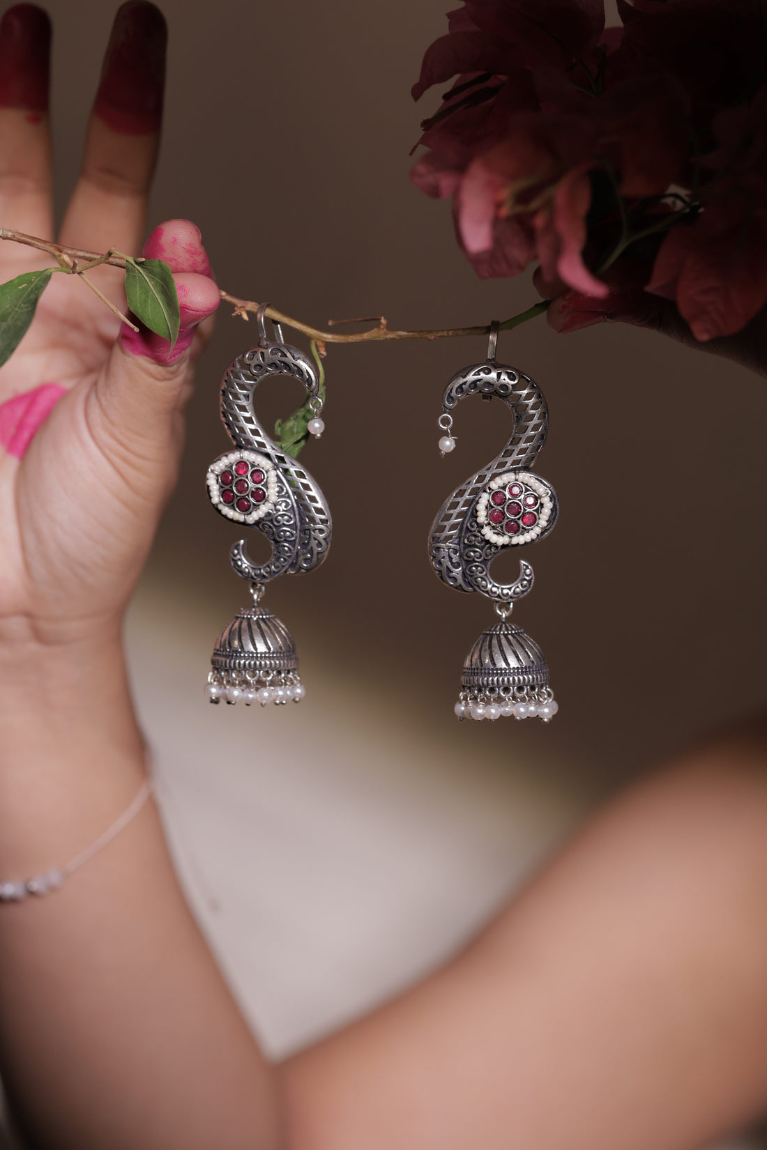 The Rajsi Silver Curves