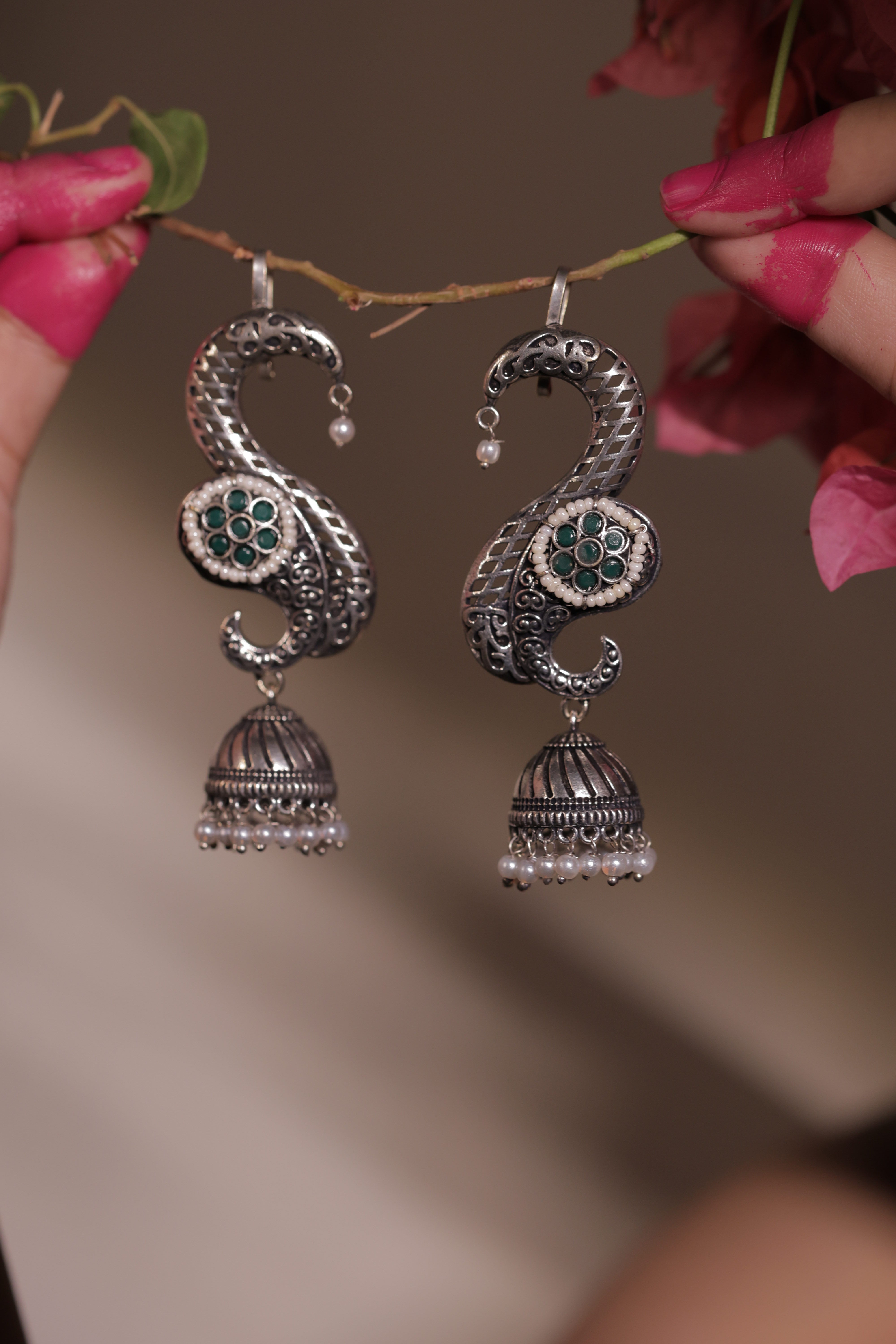The Rajsi Silver Curves